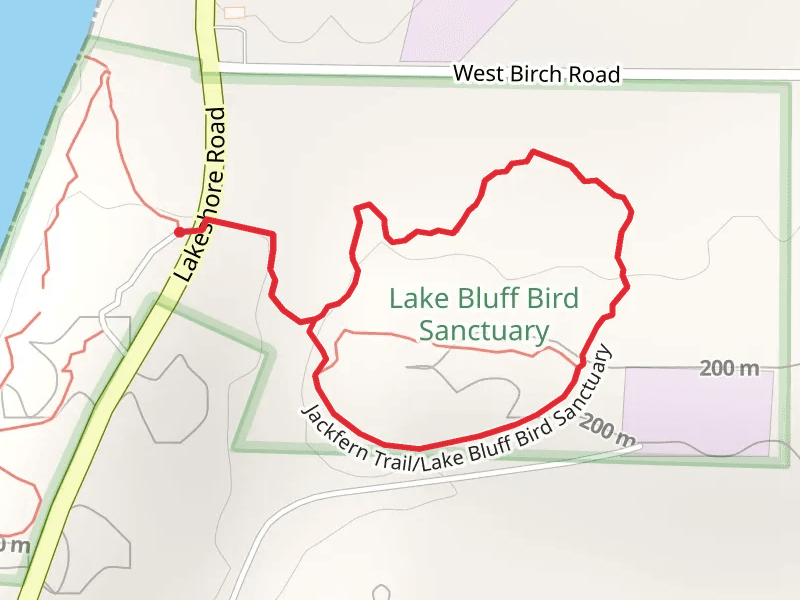 Jackfern and Lake Bluff Bird Sanctuary Loop