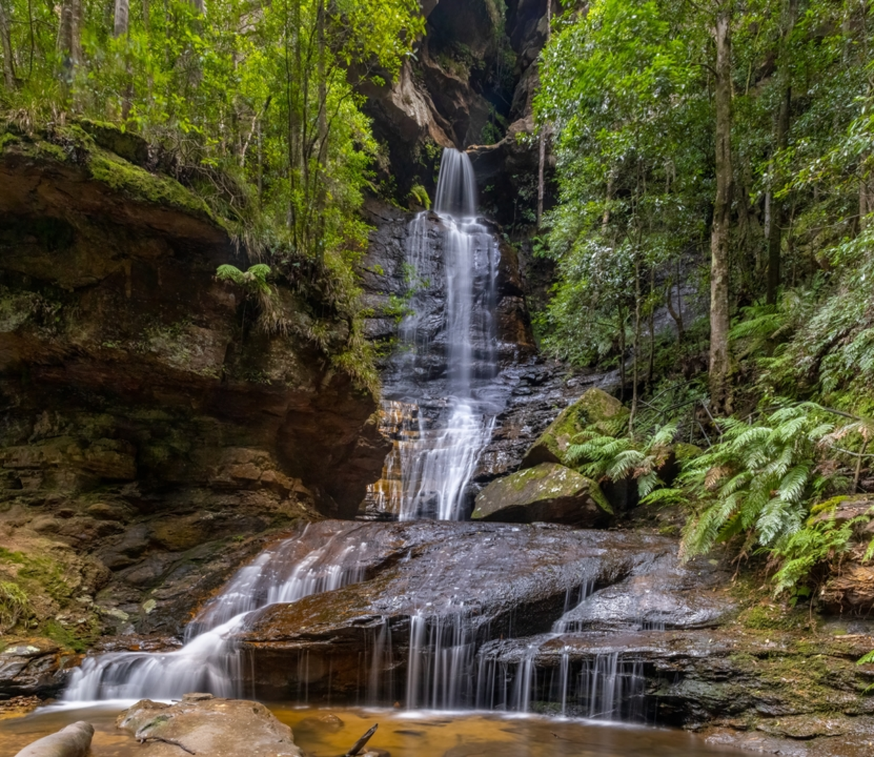An image depicting the trail Nature Track and its surrounding area.