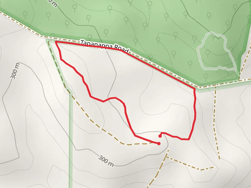 Forest Circuit Walk - Deep Creek
