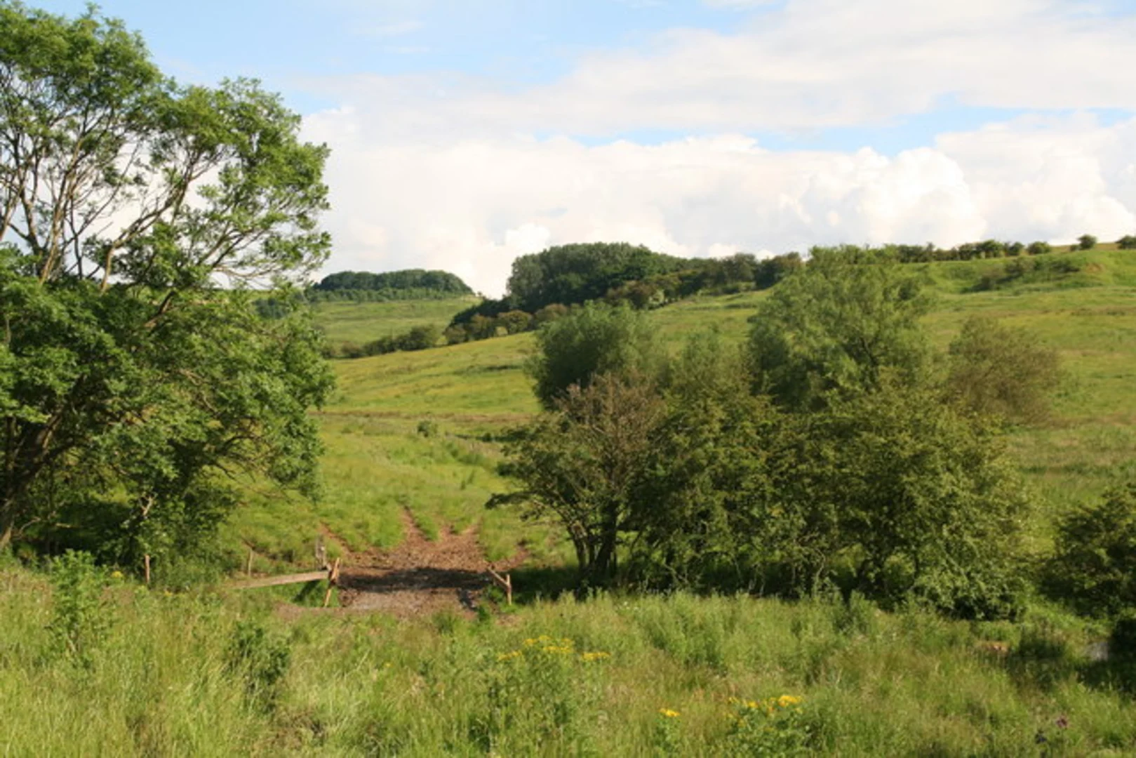 An image depicting the trail Nettleton Beck Loop and its surrounding area.