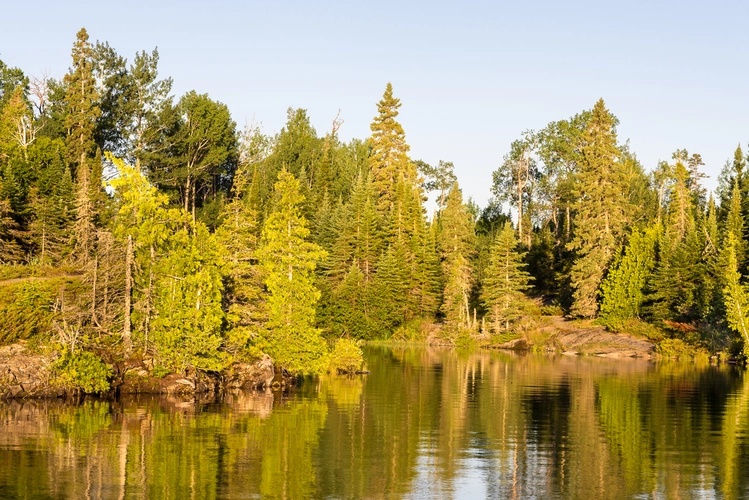 Lake Richie Trail from Moskey Basin