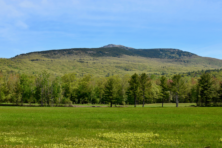 Pumpelly Trail and Harling Trail Loop via Mount Monadnock