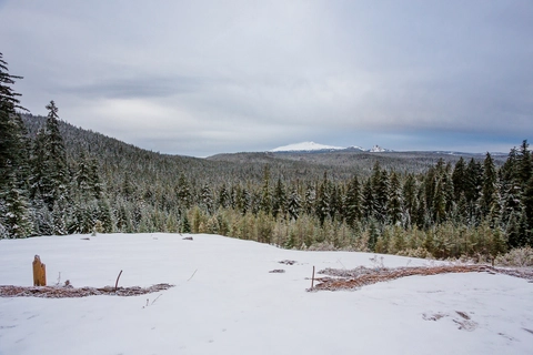 Corrigan Lake Trail