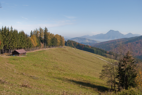 Marktwald - Gahberg
