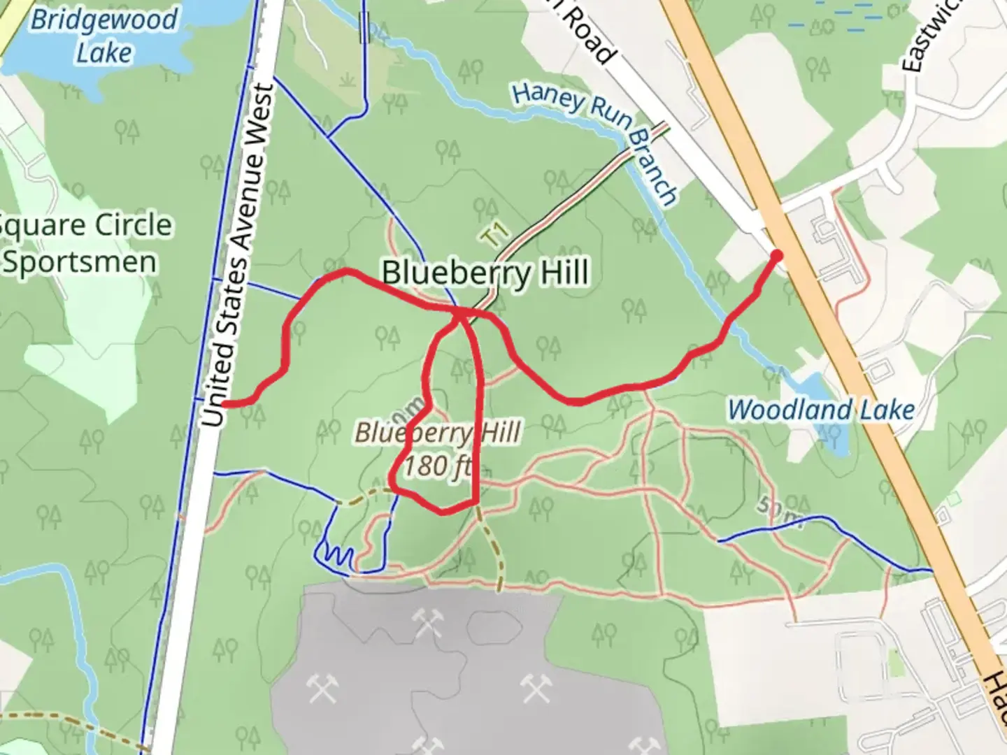An image depicting the trail Blueberry Hill and Red Loop Trail and its surrounding area.