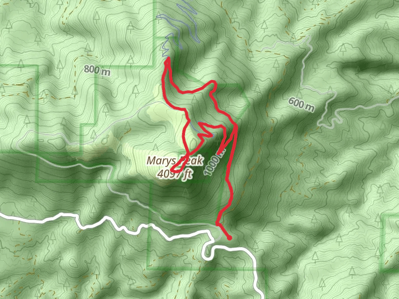 Marys Peak, Tie amd East Ridge Loop Trail
