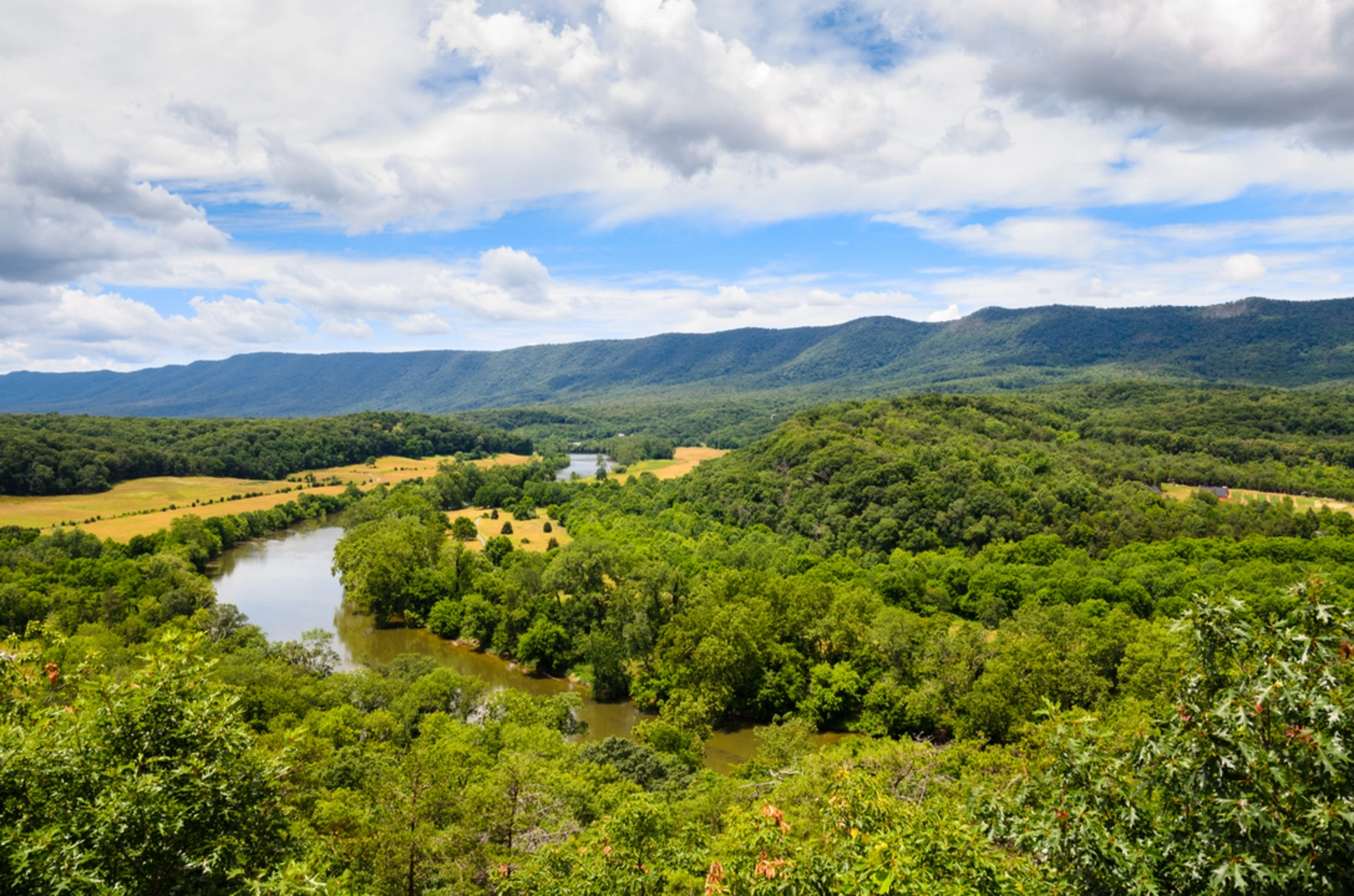 An image depicting the trail Sherman Gap Trail and its surrounding area.