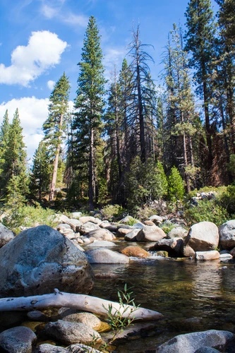 Dinkey Creek Trail