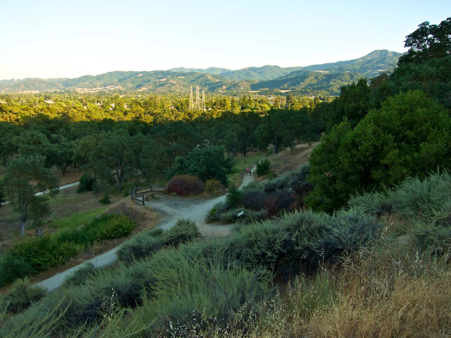 An image depicting the trail Golf Creek, Oakglen Way and Golden Oak Way Loop and its surrounding area.