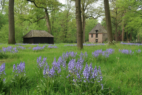 Knopenlaantje, Veldslagweg and Kasteel Hackfort Loop