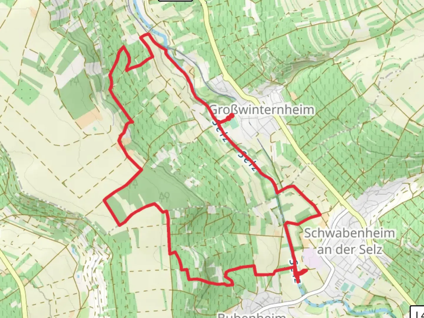 An image depicting the trail Winternheimer Wäldchen Loop via Hiwweltour Westerberg and its surrounding area.