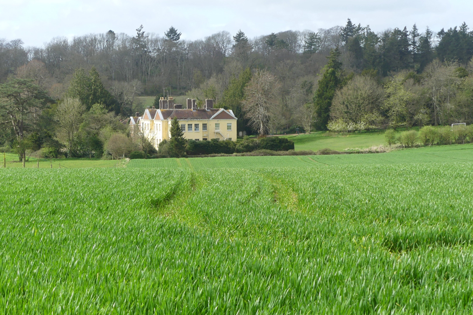 An image depicting the trail West Marden and Compton Loop and its surrounding area.