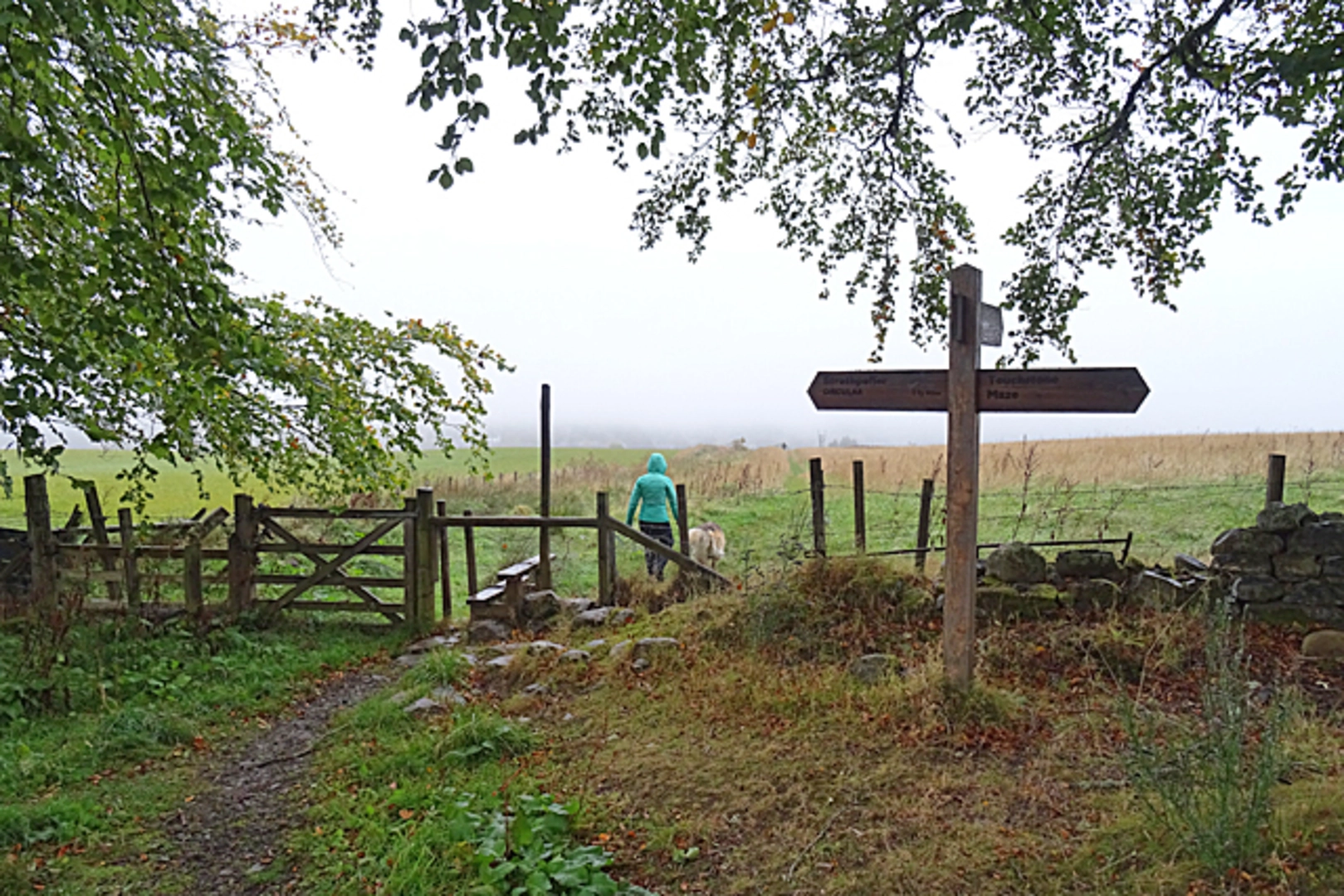 An image depicting the trail Red Kite Trail from Strathpeffer and its surrounding area.