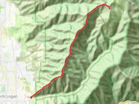 Mount Jardine Out and Back