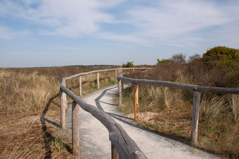 Haagse Hout, Landgoed Clingendael, Prinsenberg and Scheveningsche Loop