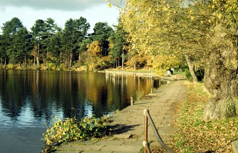 Sutton Park Loop from Streetly Station