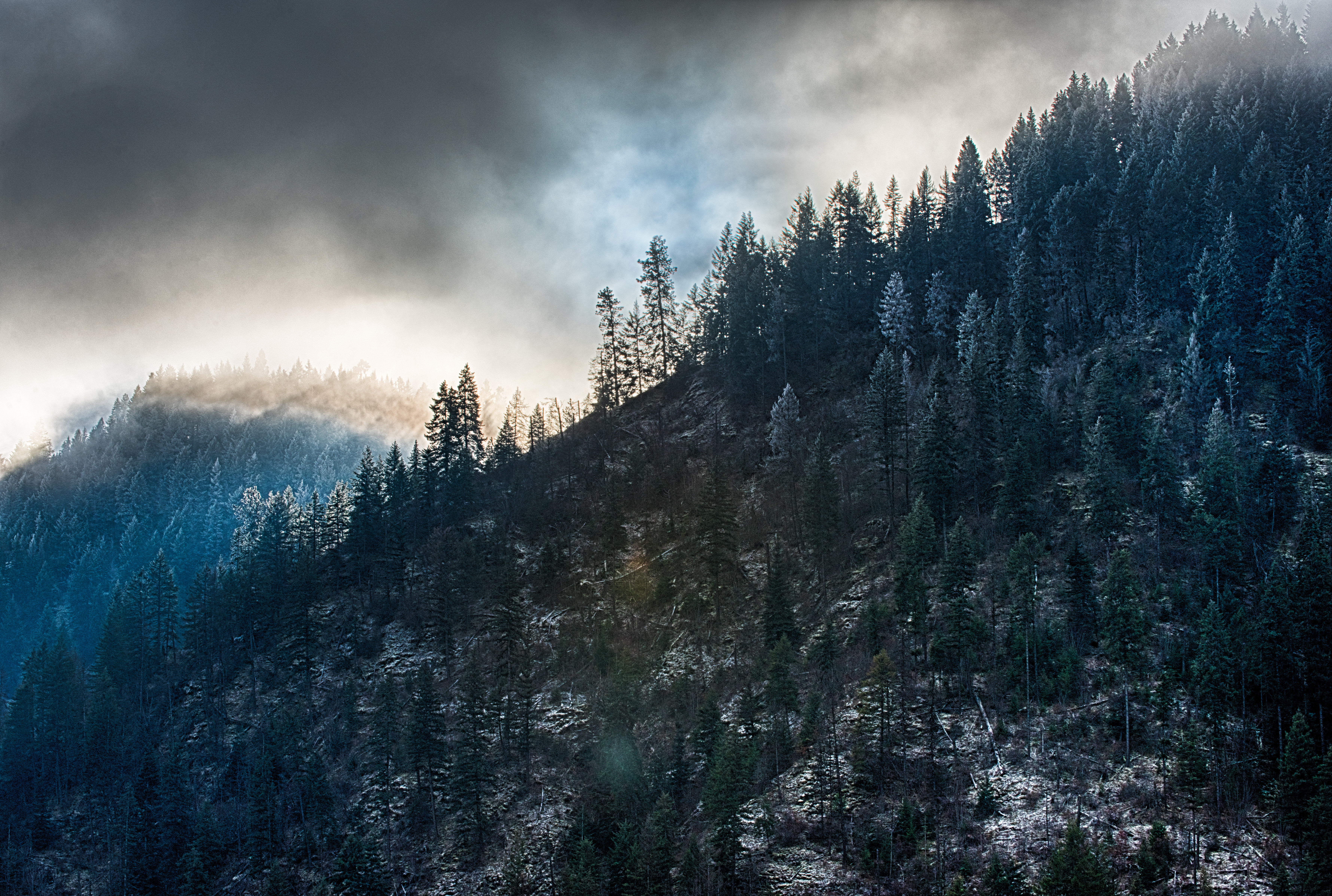 An image depicting the trail Idaho Panhandle National Forests and its surrounding area.