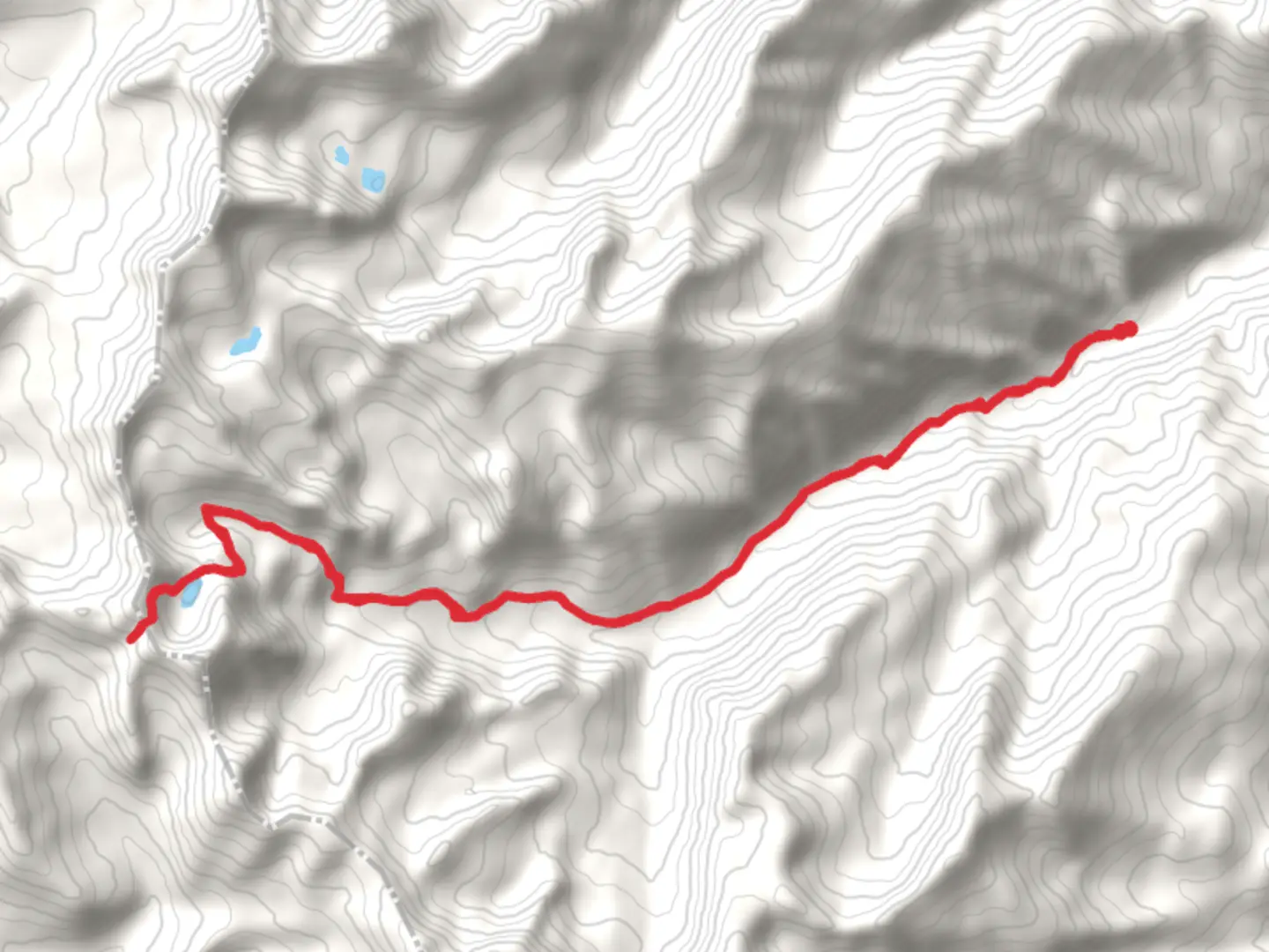 An image depicting the trail Sunrise Lake via Foggy Dew Creek Trail and its surrounding area.