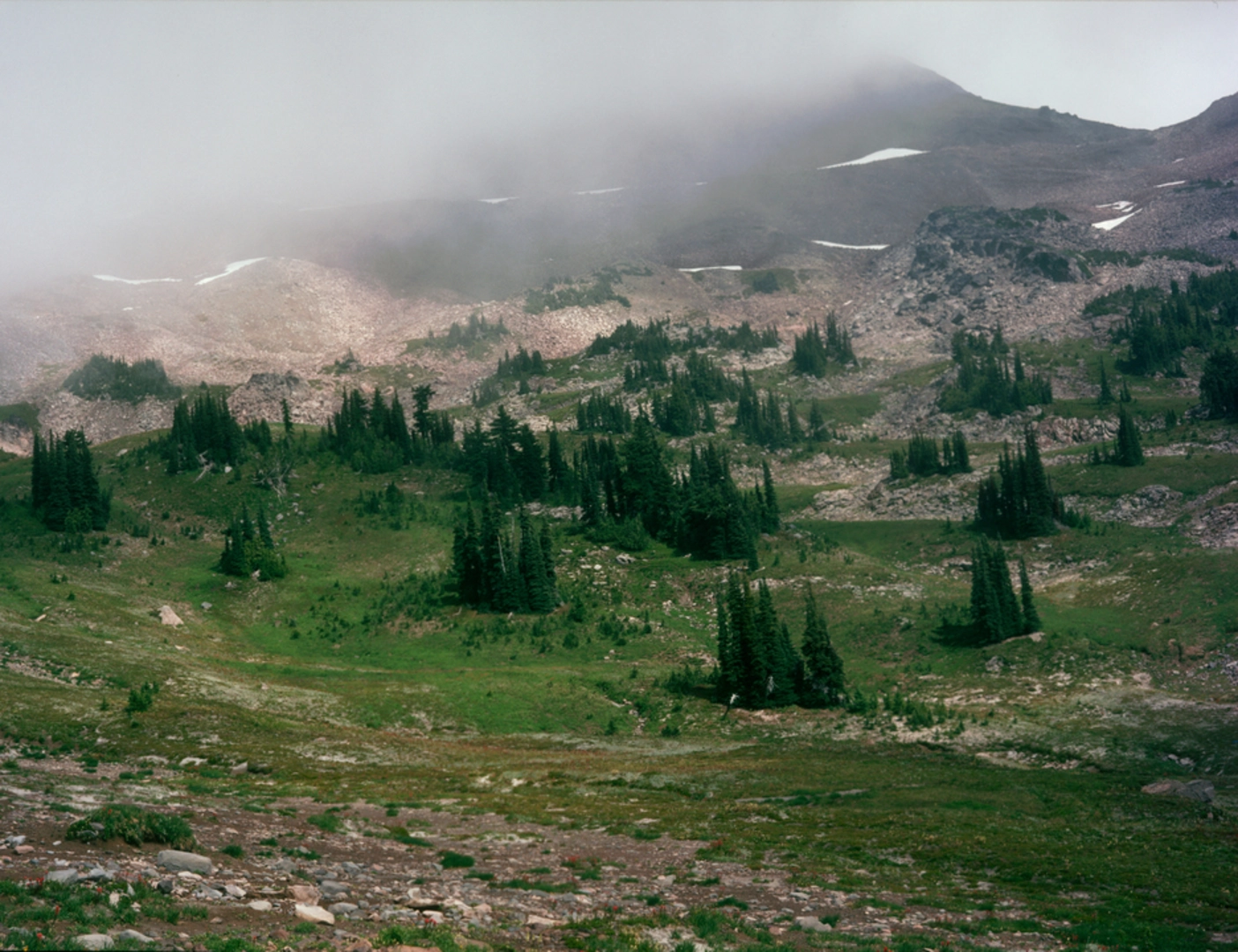 An image depicting the trail Snowgrass Trail and its surrounding area.