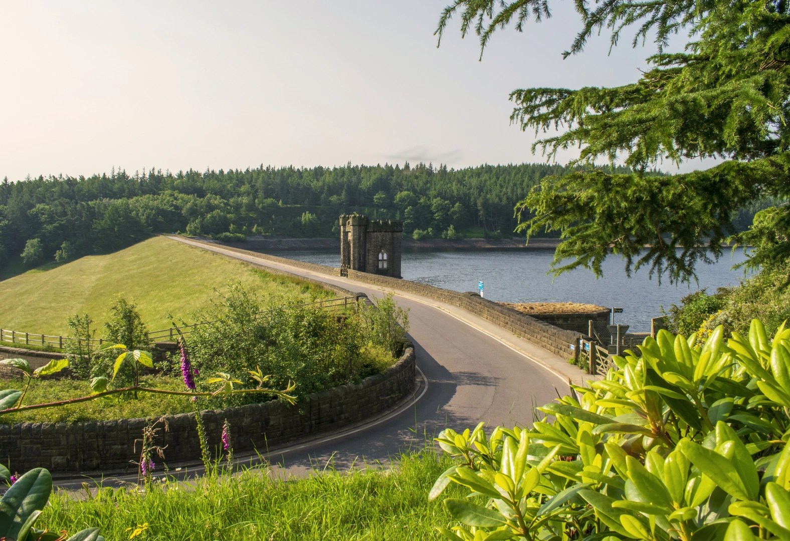 An image depicting the trail Langsett to High Bradfield and its surrounding area.