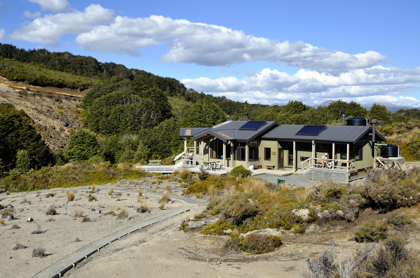 An image depicting the trail Historic Waihohonu Hut Track and its surrounding area.