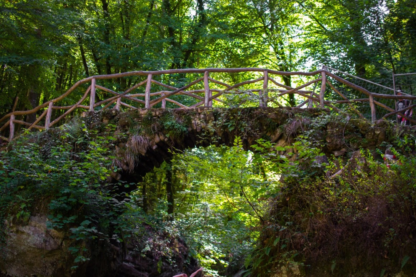 An image depicting the trail Mullerthal 2 and its surrounding area.