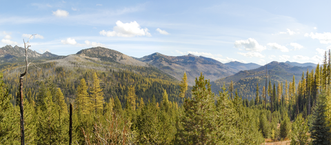 Elkhorn Crest Trail