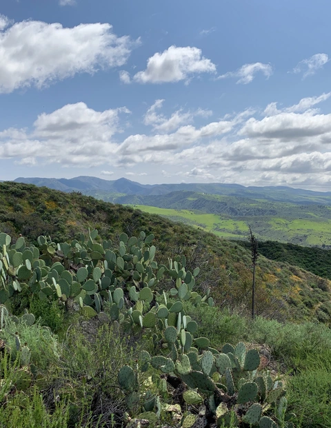 Juaneño and Hot Springs Trail