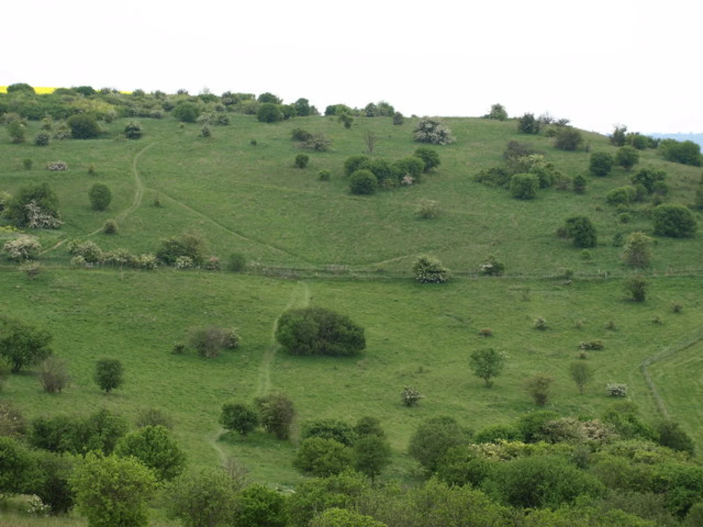 An image depicting the trail Lilley, Streatley and Barton le Clay Loop and its surrounding area.