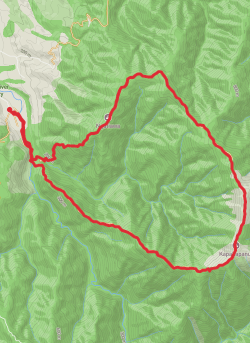 Kapakapanui mobile static map