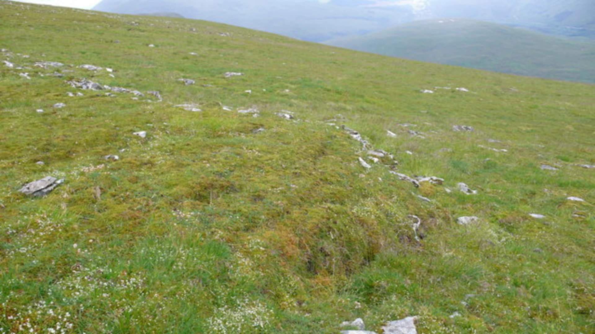 An image depicting the trail Moruisg and its surrounding area.