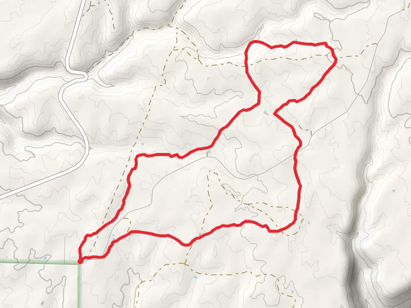 Boggy Draw Trail