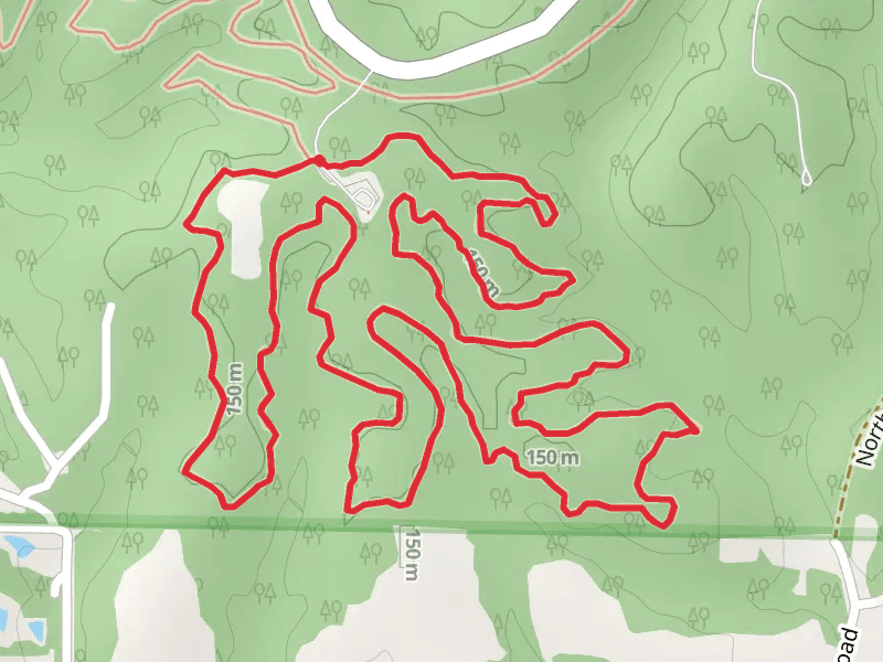 Sycamore Loop