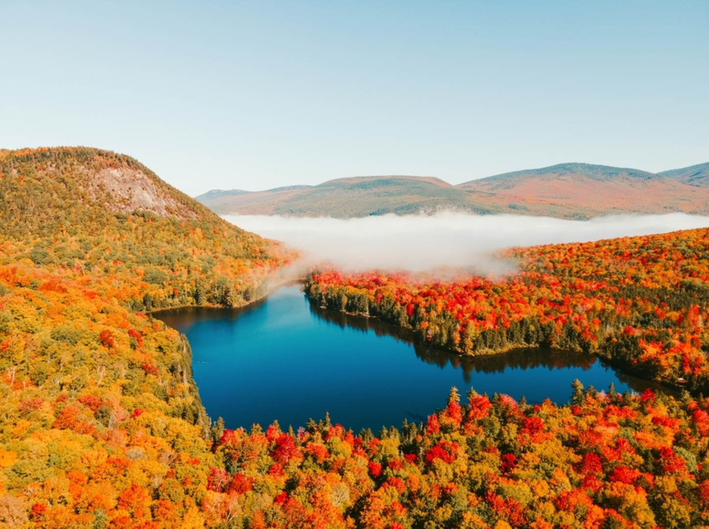 An image depicting the trail Wachipauka Pond Trail and its surrounding area.