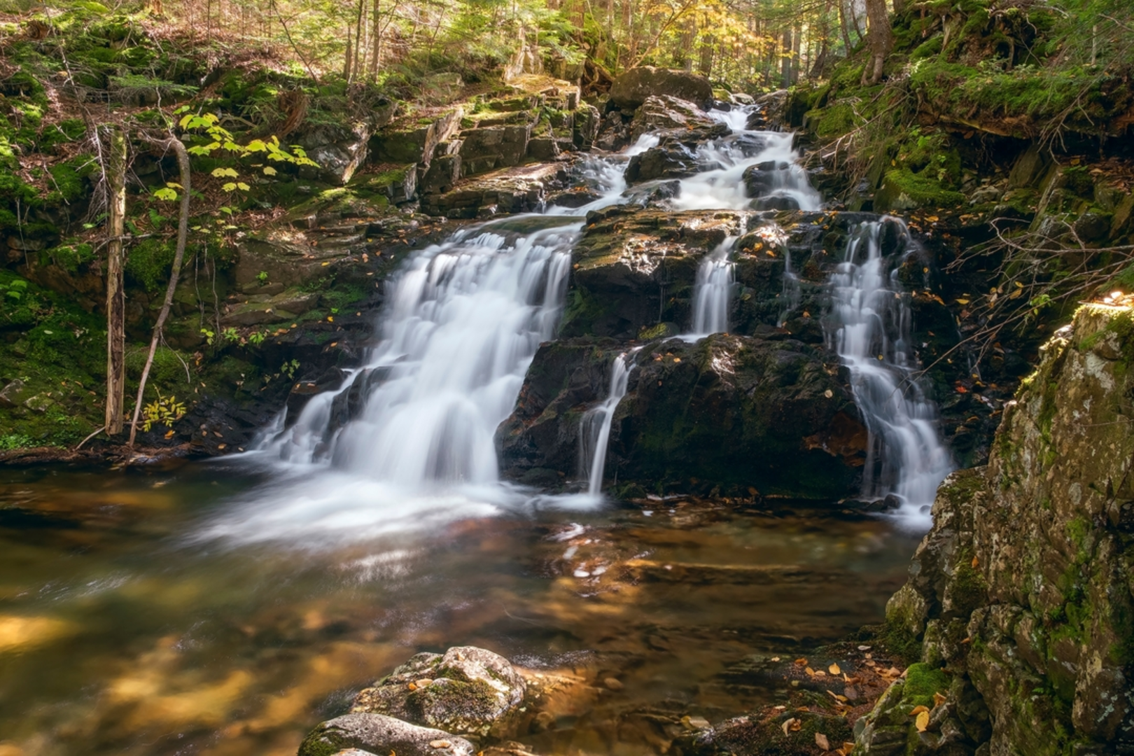 An image depicting the trail Beechwood Way Trail via Amphibrach Trail and its surrounding area.