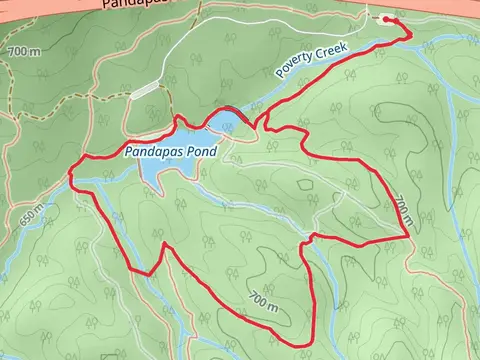Horse Nettle, Joe Pye and Pandapas Pond Loop