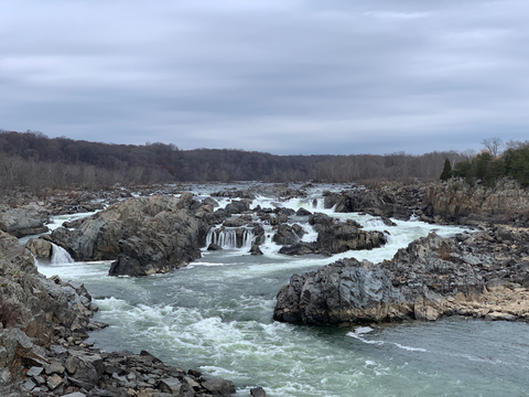 Great Falls Overlook via Gold Mine and Woodland Trail