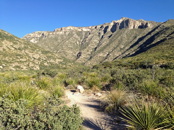 Permian Reef Trail