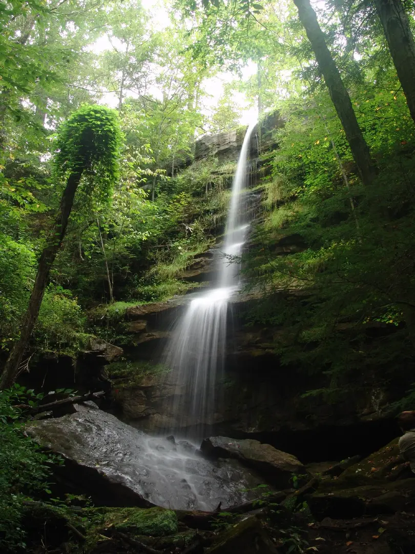 An image depicting the trail Alpha Pass Trail and its surrounding area.