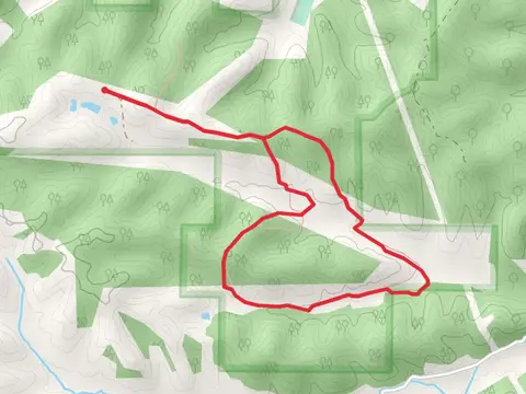 County Road 525 Loop - East