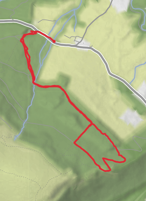 Hike from Crone (Enniskerry) mobile static map