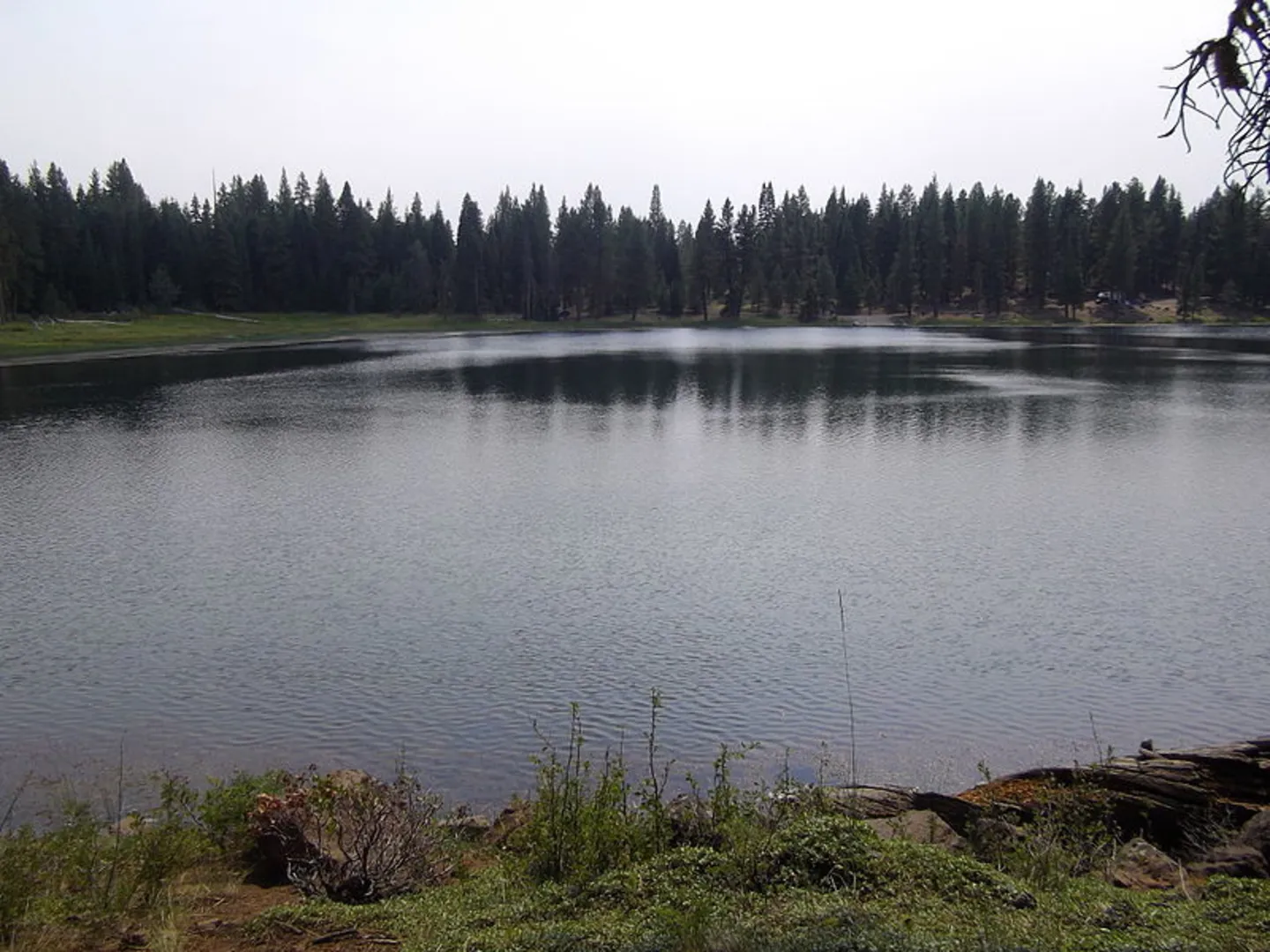 An image depicting the trail Lofton to Heart Lake Trail and its surrounding area.