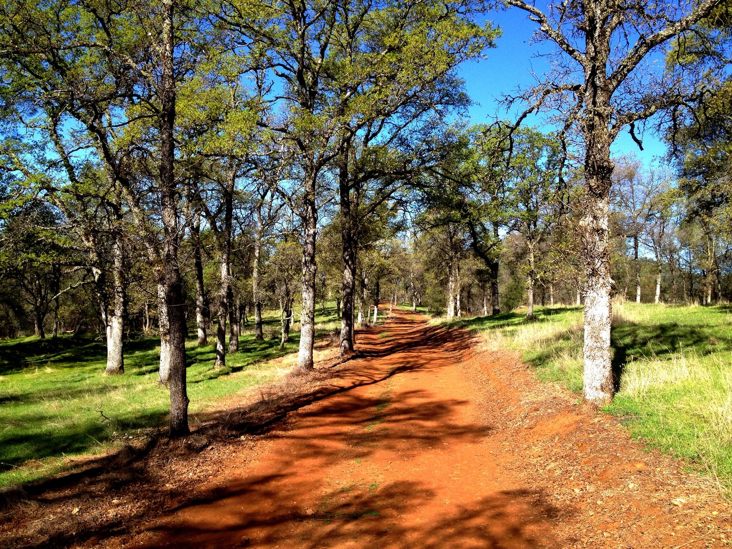 An image depicting the trail River Otter Loop and its surrounding area.