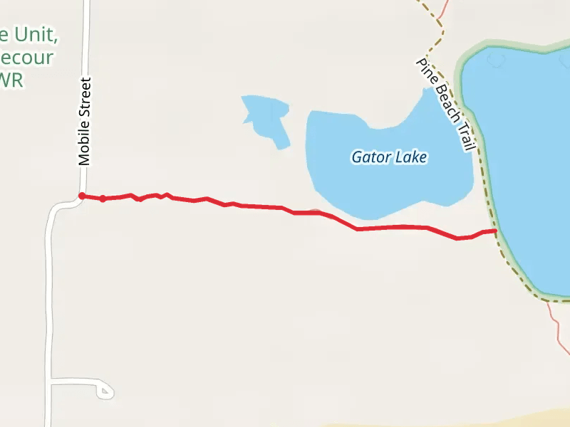 Gator Lake from Mobile Street