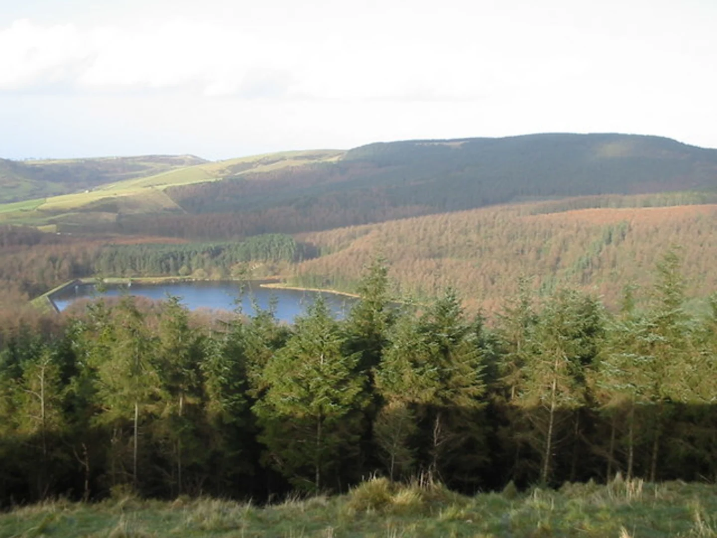 An image depicting the trail Shutlinsloe Loop from Wildboarclough and its surrounding area.