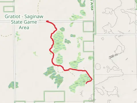 Gratiot Saginaw State Area Walk