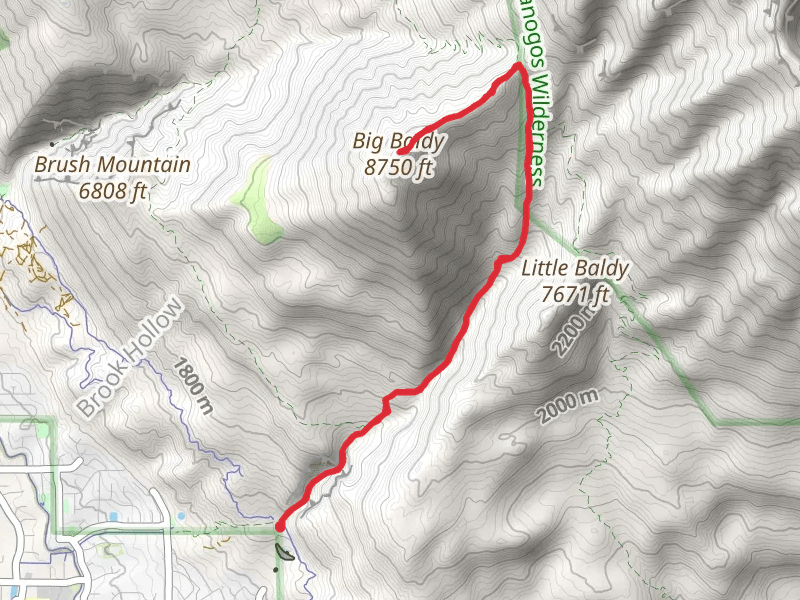 Big Baldy via Dry Canyon Trail