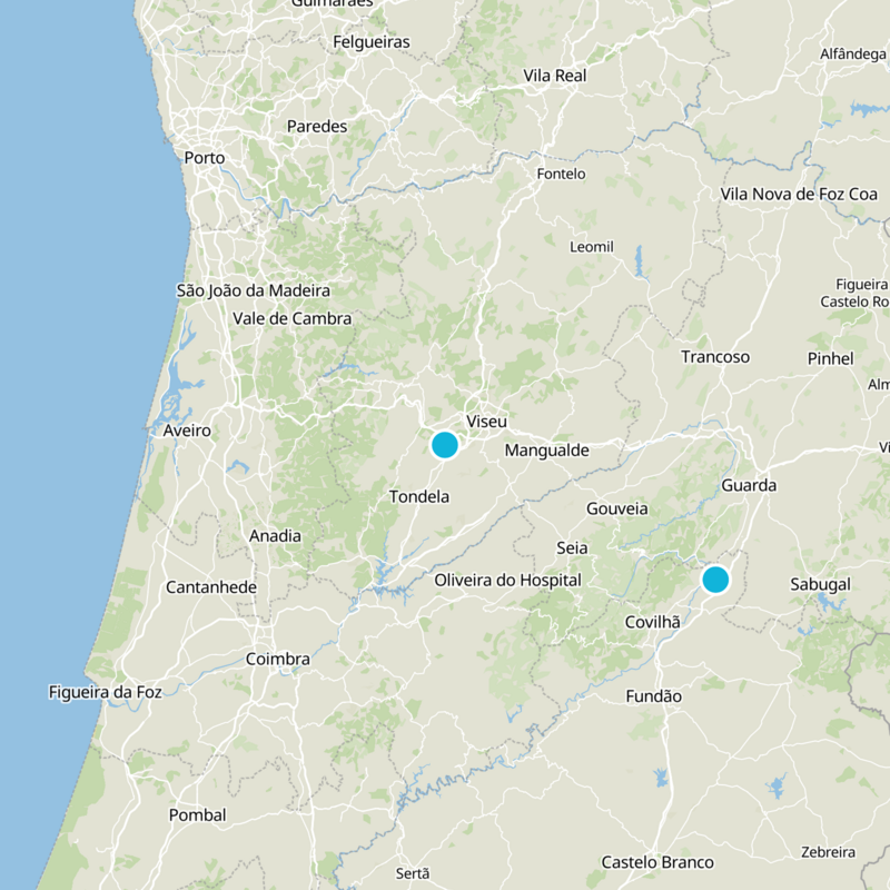 Viseu Static Map