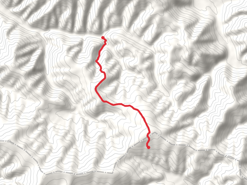 Gold Rush Creek Trail