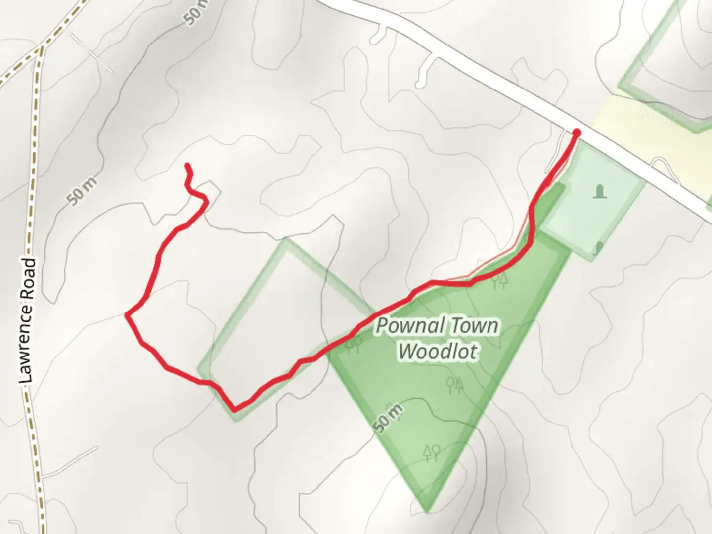 An image depicting the trail Thoits Branch from Elmwood Road and its surrounding area.